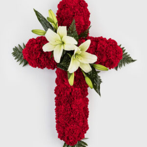 Cruz Mod. Pelayo Roja
